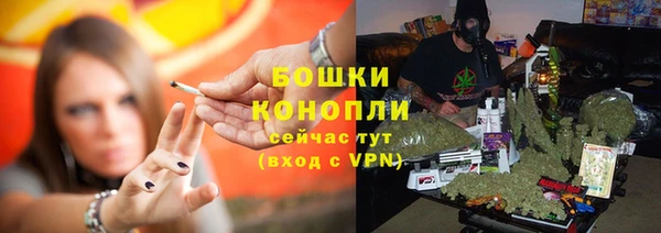 МДПВ Горнозаводск
