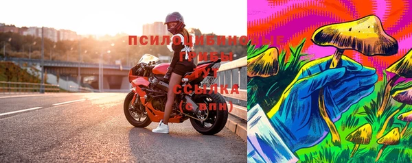 крисы Горняк